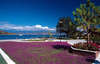 Ece Saray Marina & Resort 